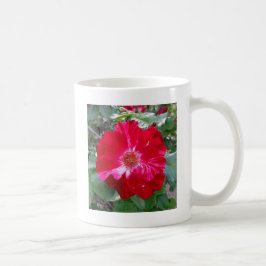 Caneca De Café Firecracker Rosa ~ Solteiro Bloom