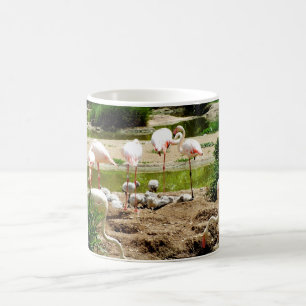 Caneca De Café Flamingos e filhotes