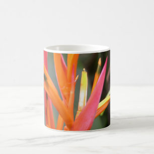 Caneca De Café Flor de ave-do-paraíso laranja havaiana