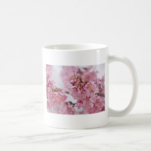 Caneca De Café Flor de Cerejeira Sakura Rosa Pálido