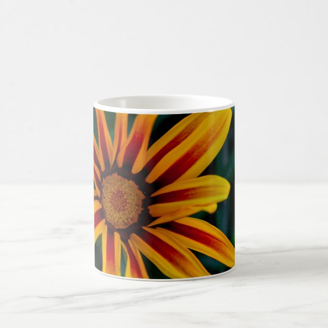 Caneca De Café Flor de Gazania (Centro)