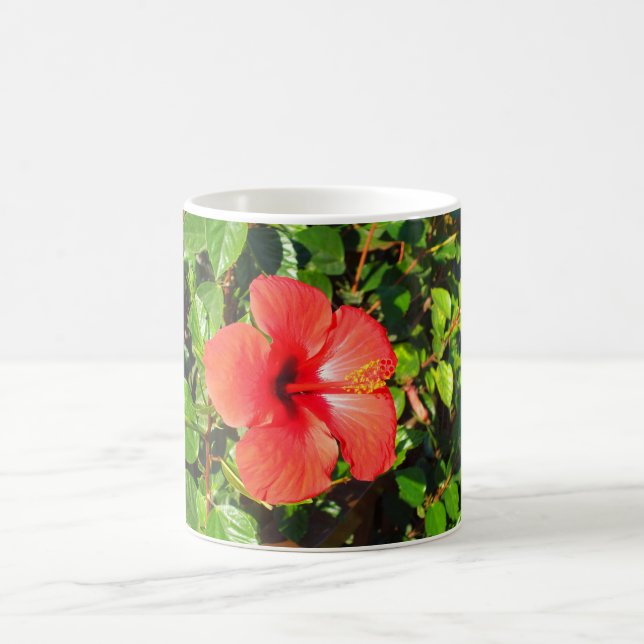 Caneca De Café Flor de hibiscus (Centro)