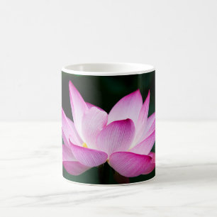 Caneca De Café Flor de Lotus Rosa