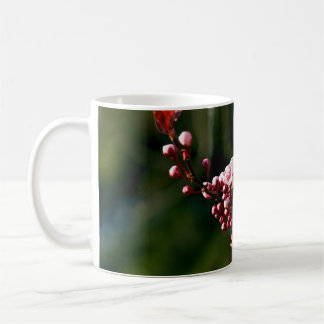 Caneca De Café Flor de Rosa na luz quente do verão