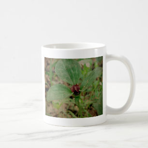 Caneca De Café Flor de trilho