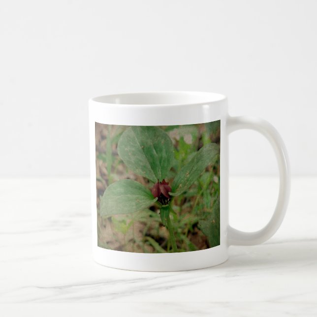 Caneca De Café Flor de trilho (Direita)