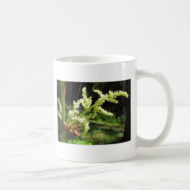 Caneca De Café Flor Rhubarb Stalks Natureza Foto (Direita)