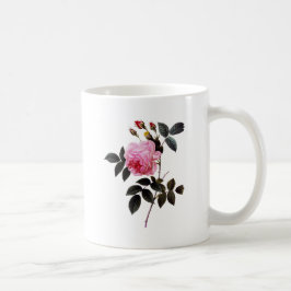 Caneca De Café Flor rosa rosa, Pierre Joseph Redouté
