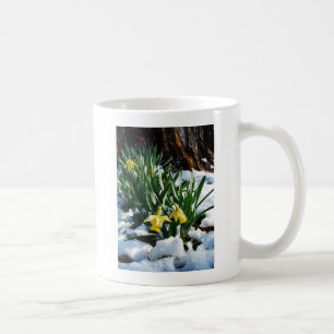 Caneca De Café Flores amarelas Daffodils na neve