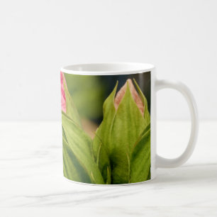 Caneca De Café Flores Cor-de-rosa Buds Verdes Mug Foto De Amor Fl