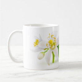 Caneca De Café Flores de árvore laranja