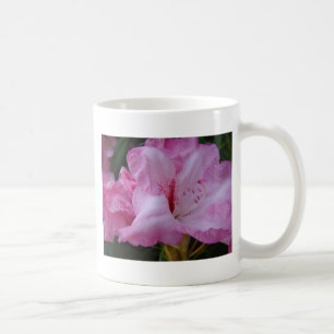 Caneca De Café FLÔRES DE AZALÉIA ROSA 29 Cartões de Azaléias Pres