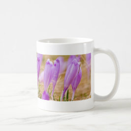 Caneca De Café Flores de Croco Roxo na Grama