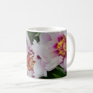 Caneca De Café Flores de pénia rosa e branca  