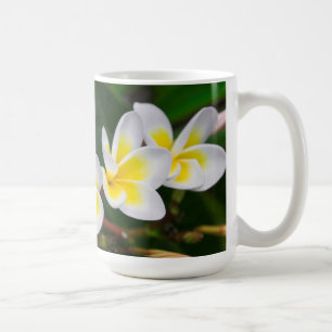 Caneca De Café Flores de Plumeria close-up, Havaí