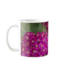 Flores de Yseta Rosa