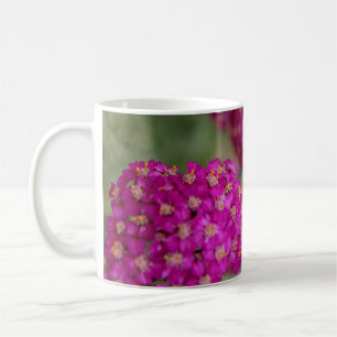 Caneca De Café Flores de Yseta Rosa