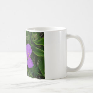 Caneca De Café Flores Silvestres Fuchsia Spiderwort Presentes de 