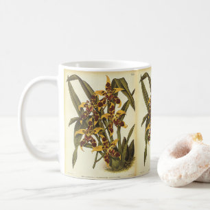 Caneca De Café Flores Tropicais De Odontoglossum Orquídeas Vintag