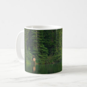 Caneca De Café Florestas Elk no Banff National Park Alberta