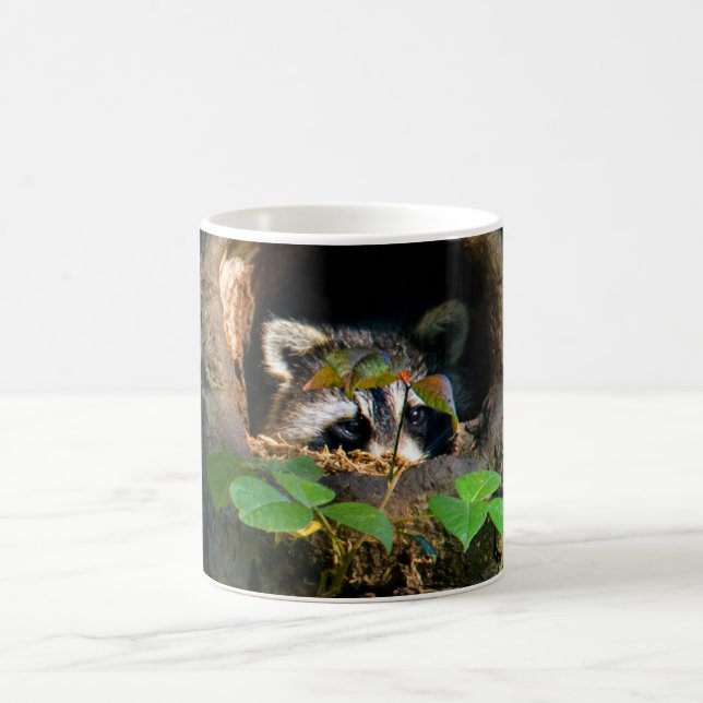 Caneca De Café Florestas | Raccoon Peeking (Centro)