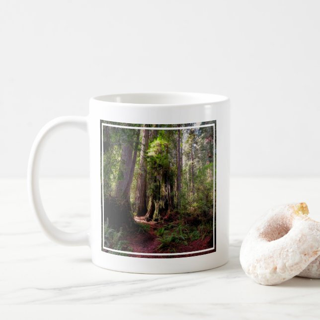 Caneca De Café Florestas | Sequoias Forest California (Com Donut)