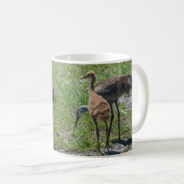 Caneca De Café Flórida Sandhill Cranes Nature Fotografia