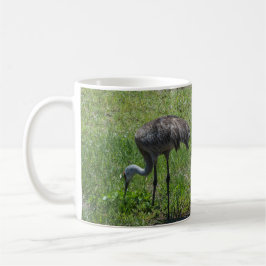 Caneca De Café Flórida Sandhill Cranes Nature Fotografia