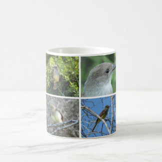 Caneca De Café Flycatcher de Galápagos