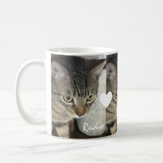 Caneca De Café Fofinho Nome Coração Foto Três Gatinho Pet