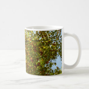 Caneca De Café Folhas de Árvore de Bordo Verdes e Douradas Mudand