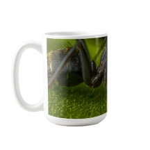 Formiga Preta Ocupada numa Folha Verde