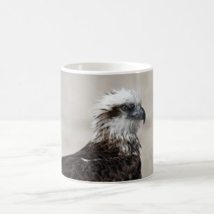 Caneca De Café Foto aproximada de uma Águia-pescadora oriental