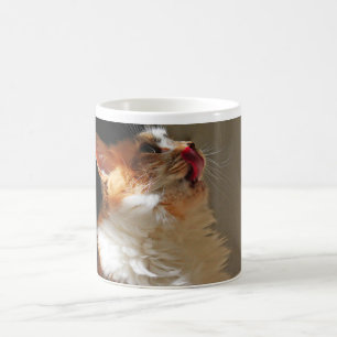 Caneca De Café Foto Bonita E Bonita De Sammi De Gato