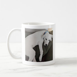 Caneca De Café Foto de Cachorro-Papoila Escavado, Desaparecendo d