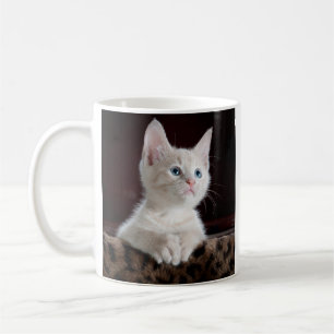 Caneca De Café Foto de Cat Pet Personalizada Dupla Face