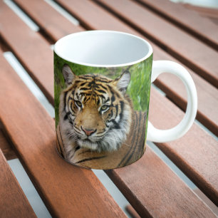Caneca De Café Foto do Grande Gato Sumatran Tiger