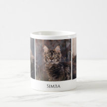 Foto Personalizada de Gato de Pet Moderno