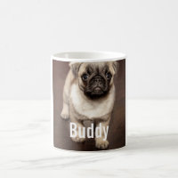 Foto personalizada do cão do Pug e seu nome do cão