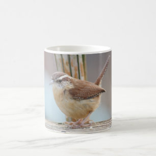 Caneca De Café Fotografia da carriça de Carolina