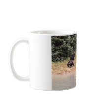 Fotografia da Mãe Grizzly, 2 Cubs, Rio, AK