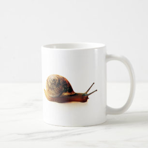 Caneca De Café Fotografia da Natureza de Caracol de Jardim