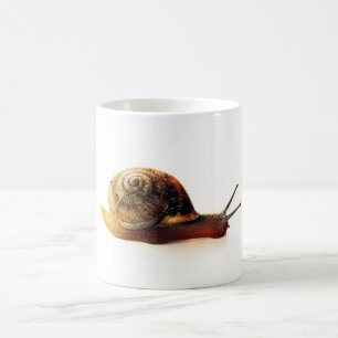 Caneca De Café Fotografia da Natureza de Caracol de Jardim