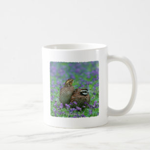 Caneca De Café Fotografia das codornizes