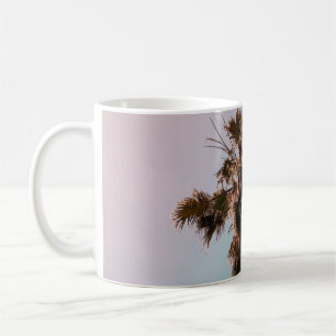 Caneca De Café Fotografia de baixo ângulo da palmeira