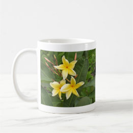 Caneca De Café Fotografia de Flor Tropical Plumeria Amarela