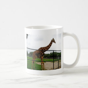 Caneca De Café Fotografia de Giraffe Animal