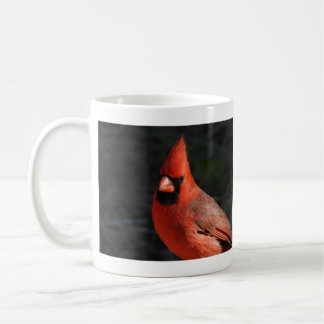 Caneca De Café Fotografia de Pássaro Vermelho Cardinal do Norte