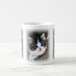 Caneca De Café Fotografia de retrato de gatinho SUPER FOFO