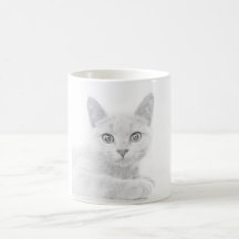 Fotografia de retrato de gatinho SUPER FOFURA